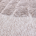 Distant Whispers Lion Woven Rug detail, featuring soft textures in neutral colors.